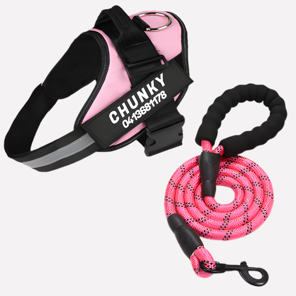 Customizable No Pull Pet Harness