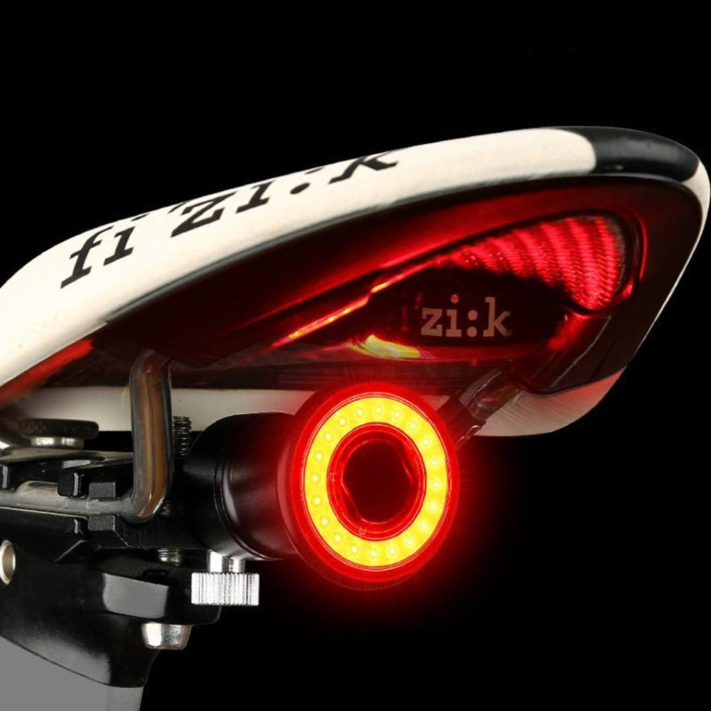 Smart LED Bike Tail Light