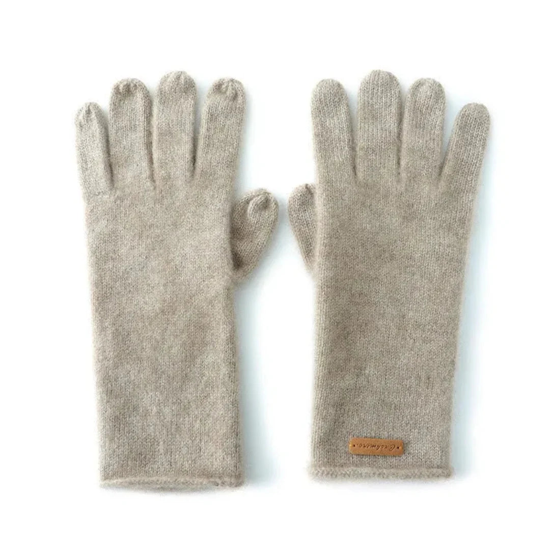 Warm Luxury Touch Gloves
