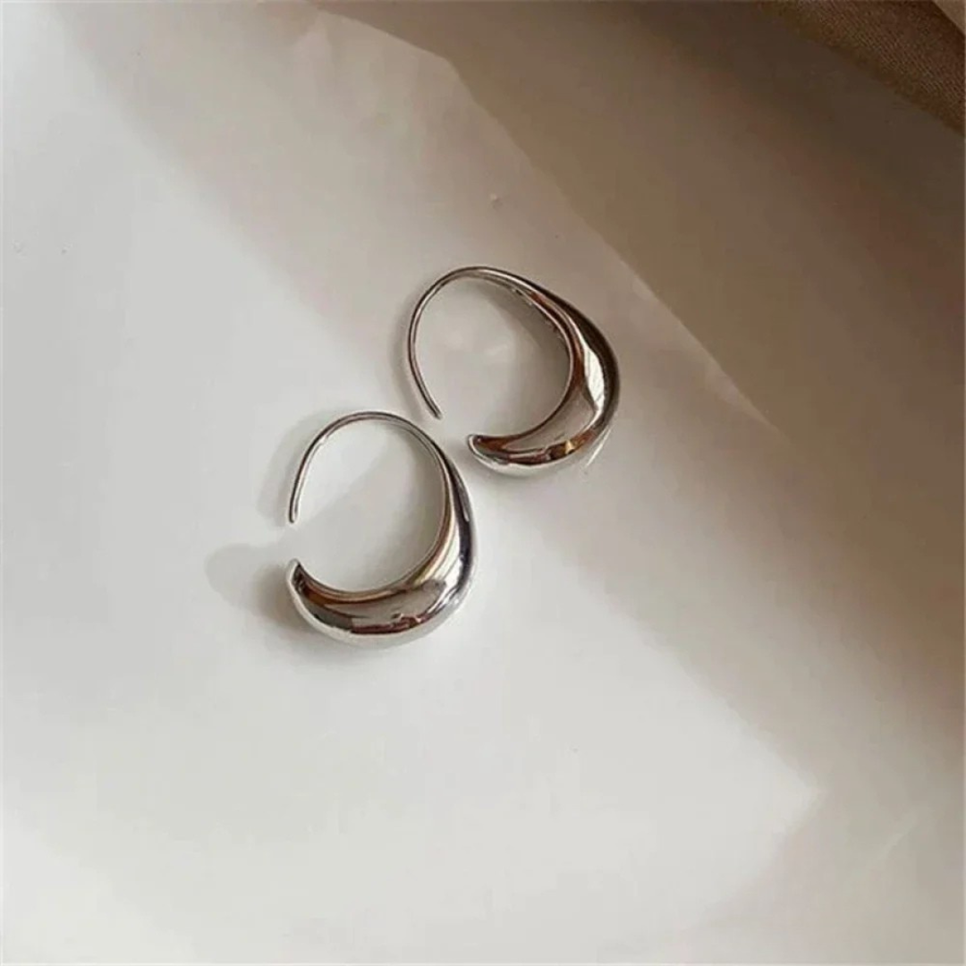 Luxurious Gold Silver Drop Earrings