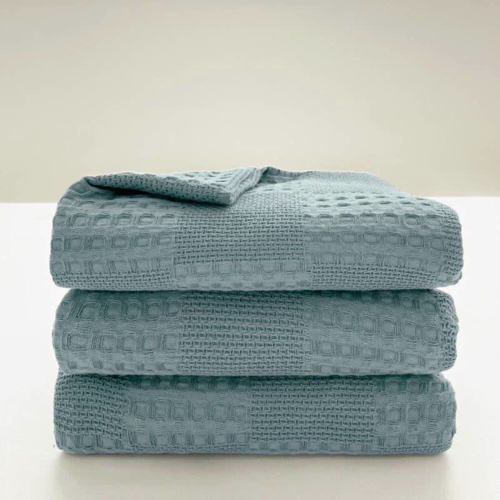 Cozy Thermal Plush Throw Blanket