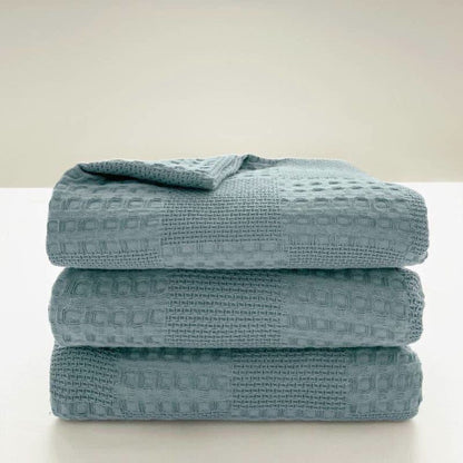 Cozy Thermal Plush Throw Blanket