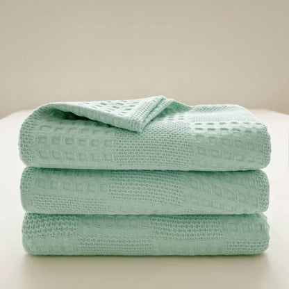 Cozy Thermal Plush Throw Blanket