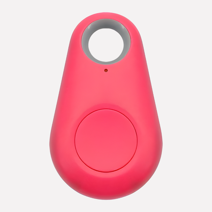 Accurate GPS Pet Locator Device