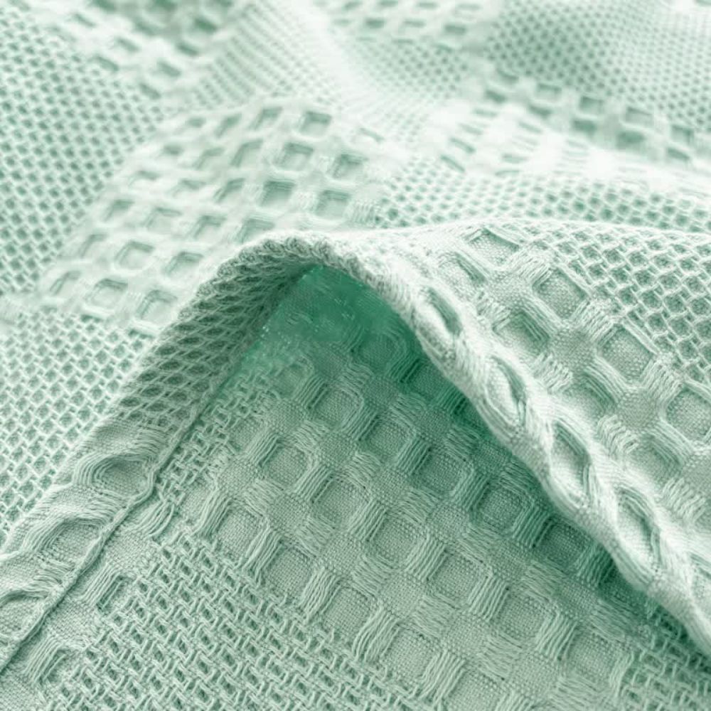 Cozy Thermal Plush Throw Blanket