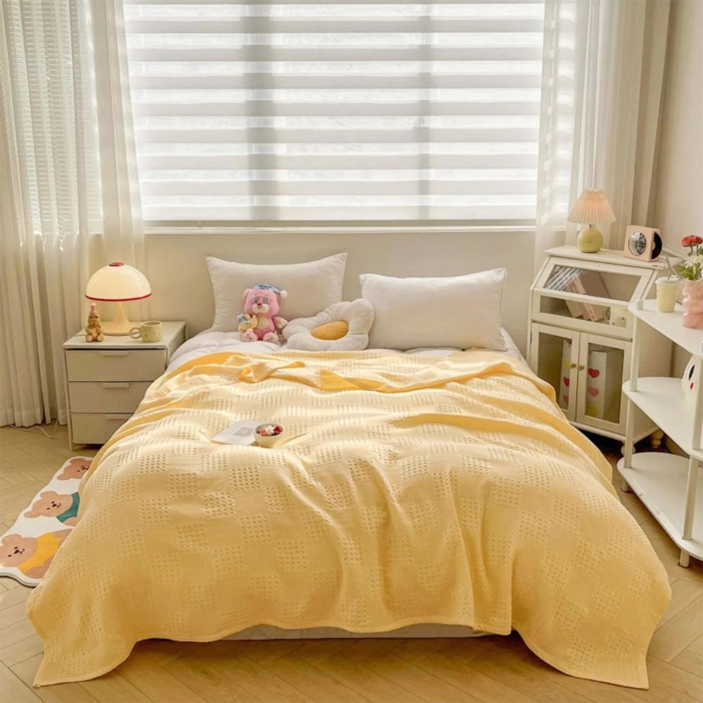 Cozy Thermal Plush Throw Blanket