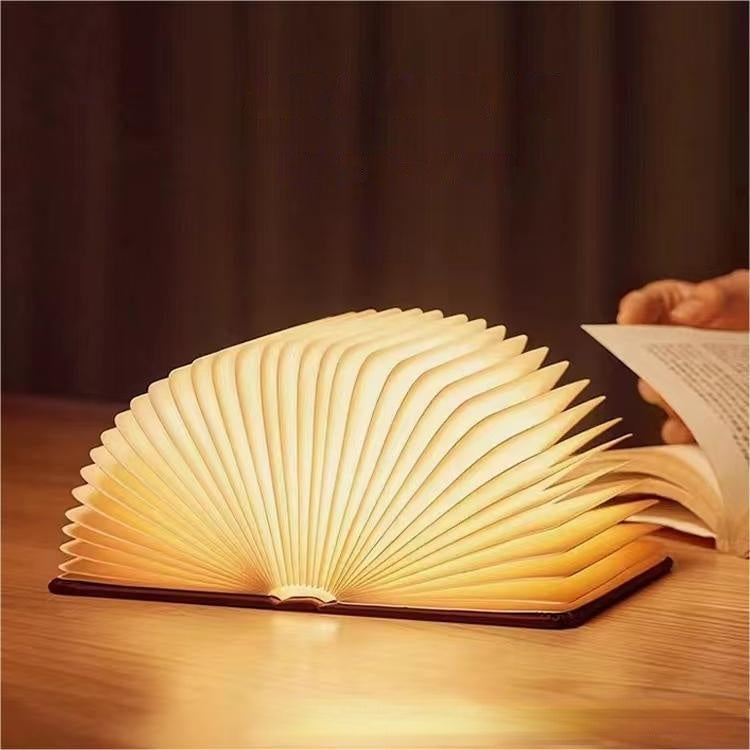 Portable LED Reading Light with USB Recharge - EasyApparels