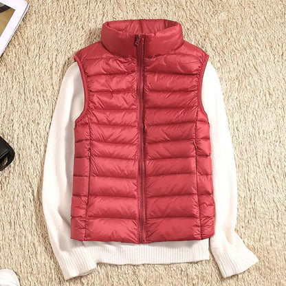 Slim Fit Quilted Puffer Vest