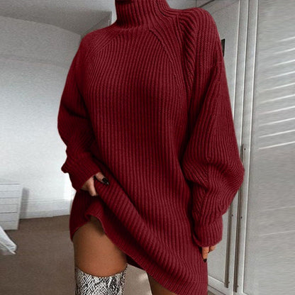 Cozy Women's Turtleneck Sweater Dress Winter Wear