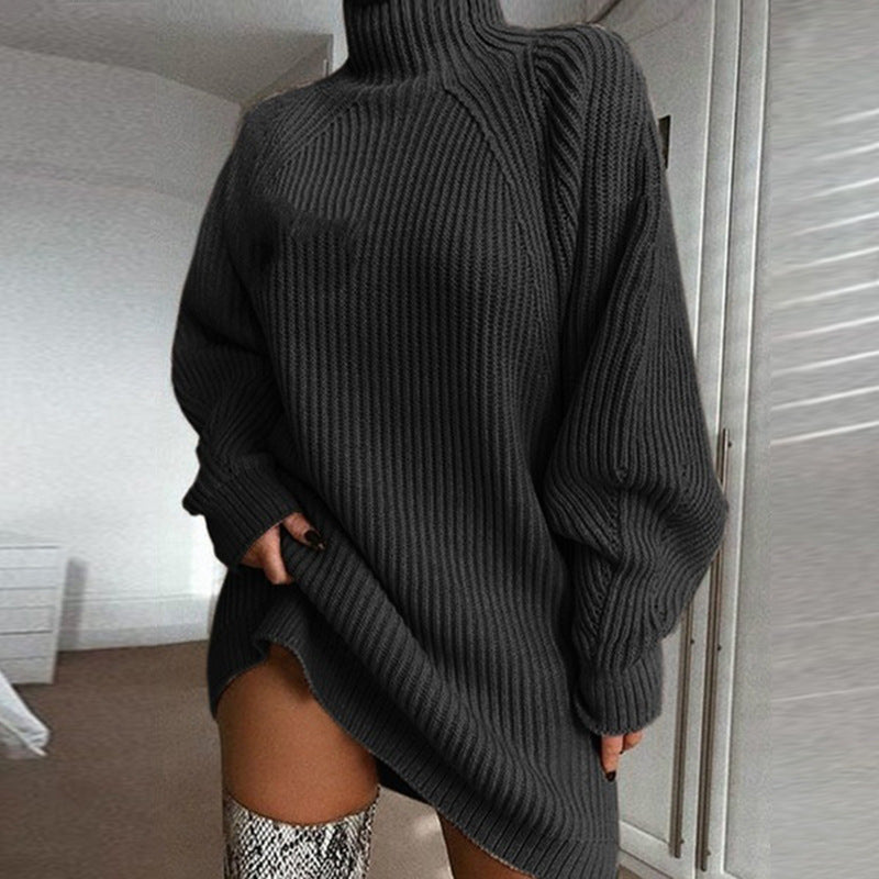 Cozy Women's Turtleneck Sweater Dress Winter Wear