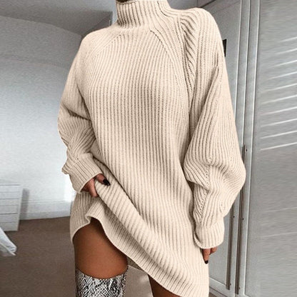 Cozy Women's Turtleneck Sweater Dress Winter Wear