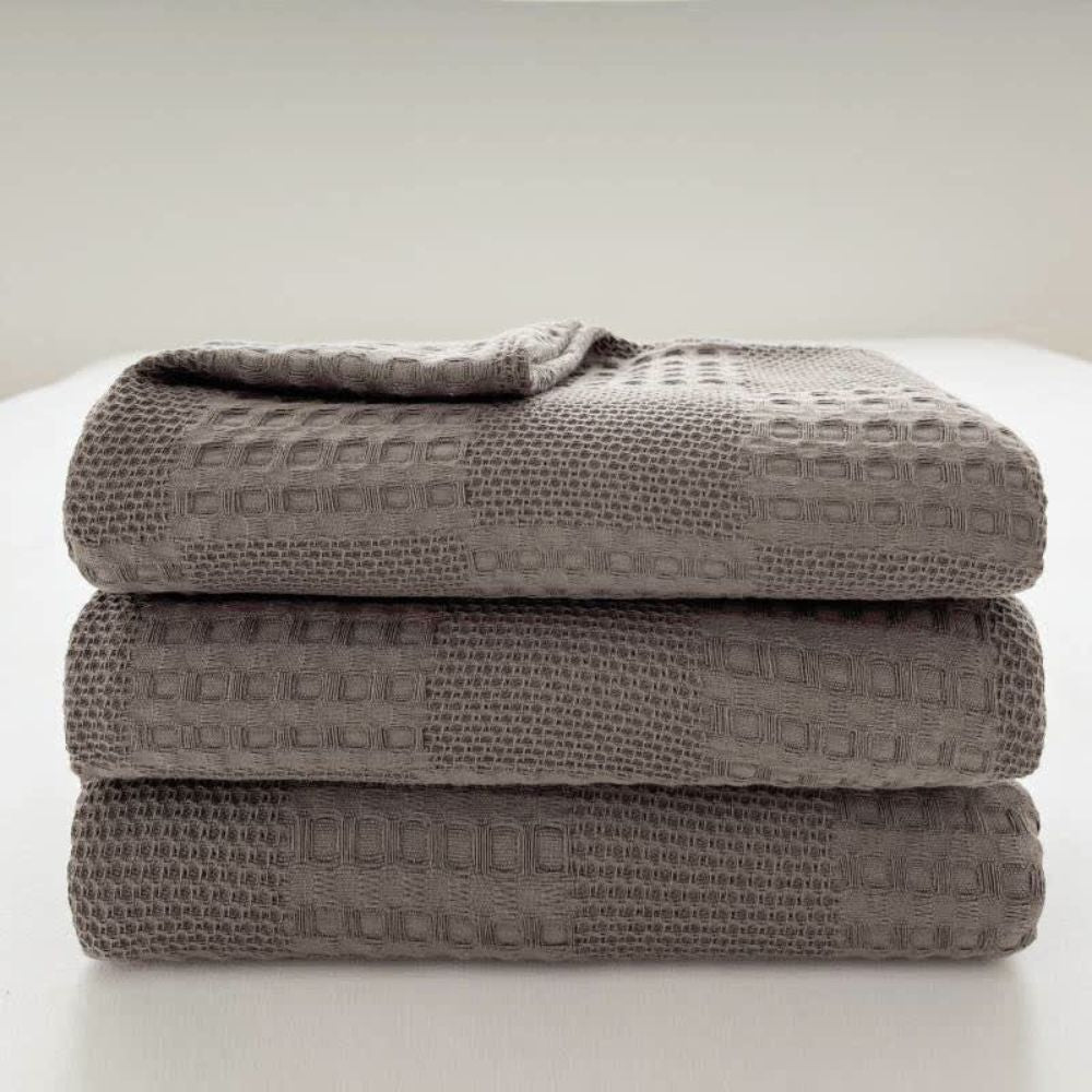 Cozy Thermal Plush Throw Blanket