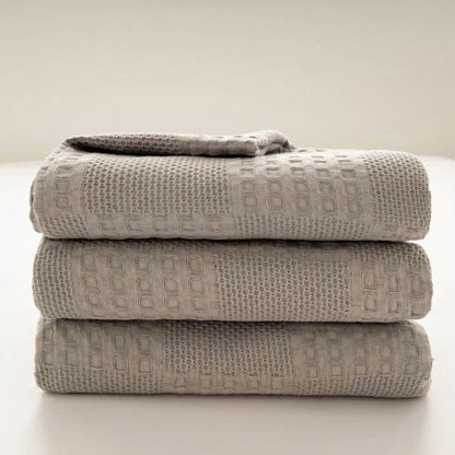 Cozy Thermal Plush Throw Blanket