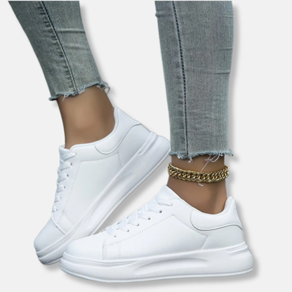 Fashionable Low Top Trainer Shoes