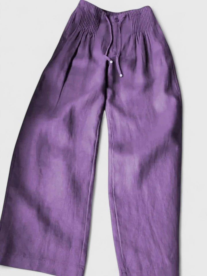 Elegant Saree with Fashionable Pants for Women