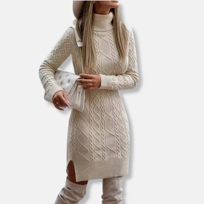 Petite Turtleneck Mini Dress Long Sleeve Wool Blend