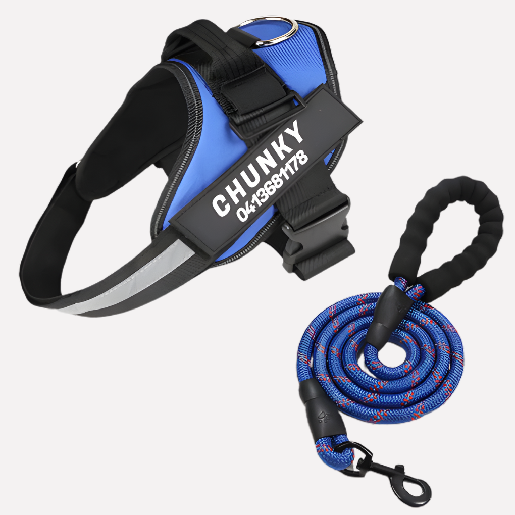 Customizable No Pull Pet Harness - Vossary