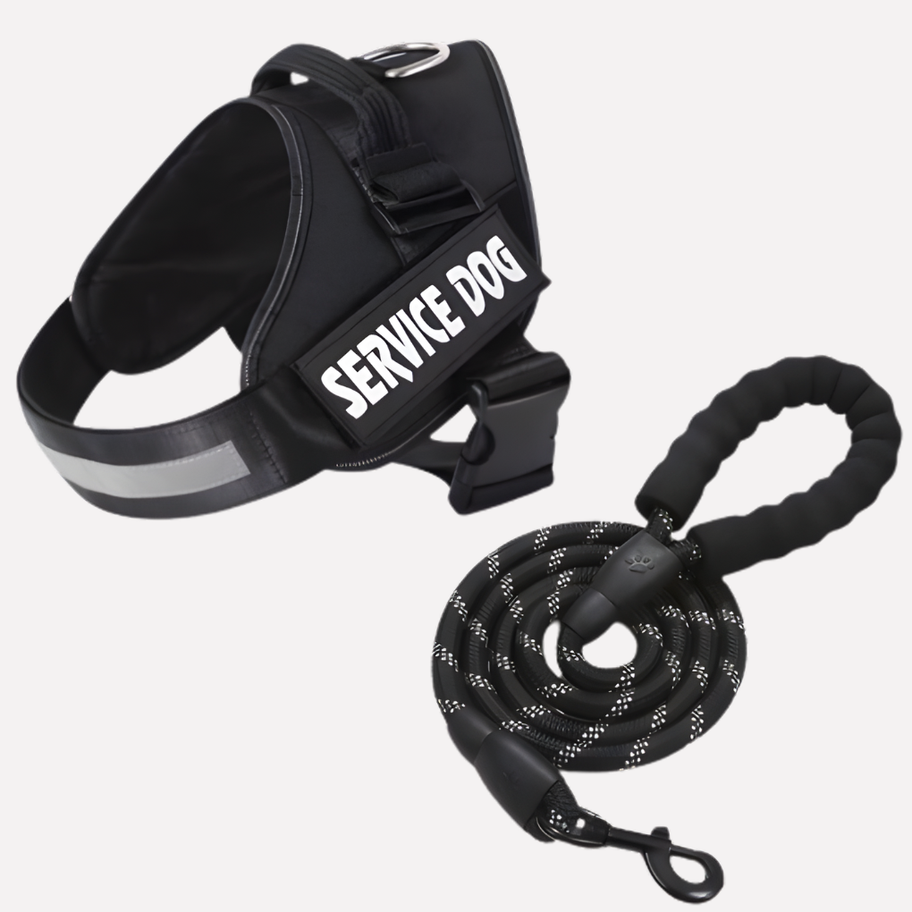Customizable No Pull Pet Harness