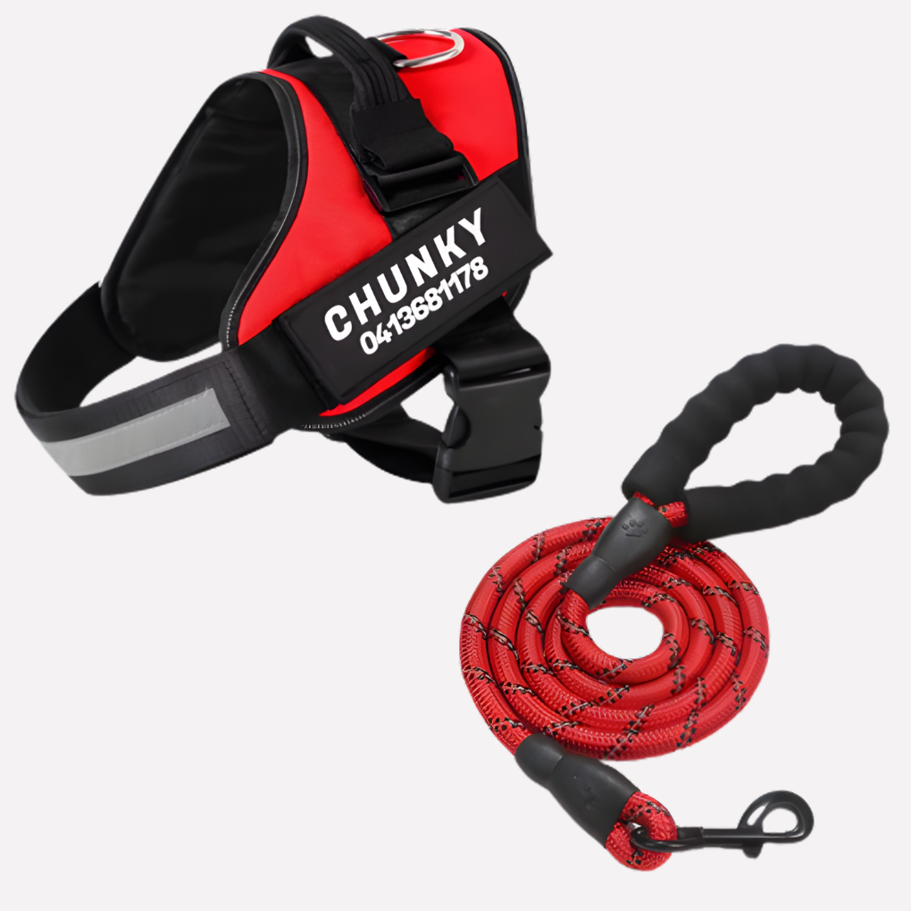 Customizable No Pull Pet Harness