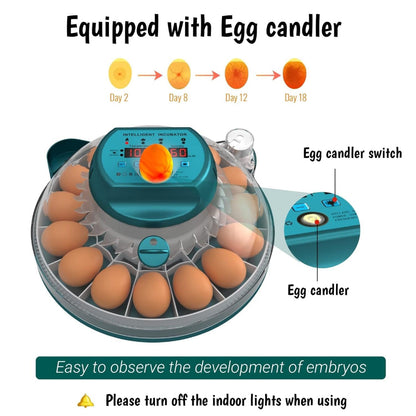 Digital Egg Incubator with Auto Humidity Setter