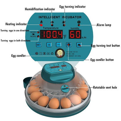 Digital Egg Incubator with Auto Humidity Setter