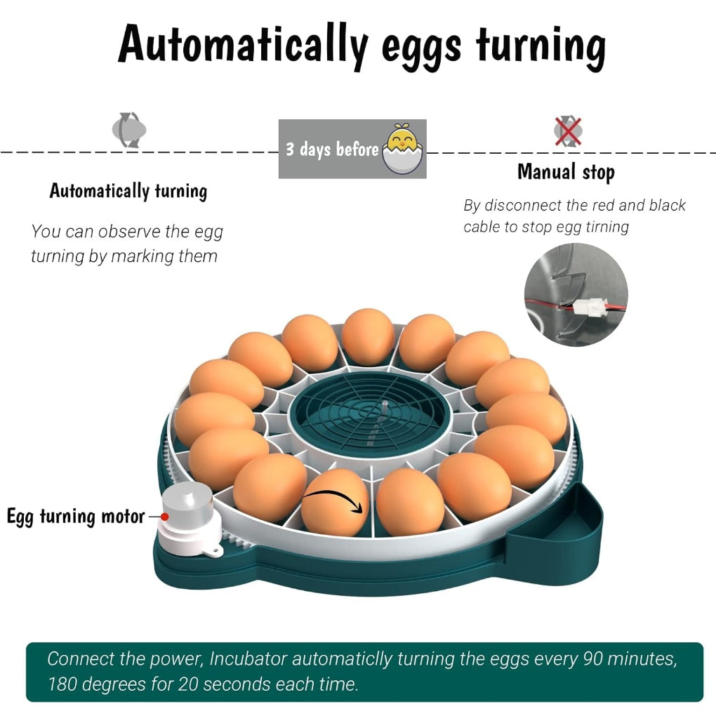 Digital Egg Incubator with Auto Humidity Setter