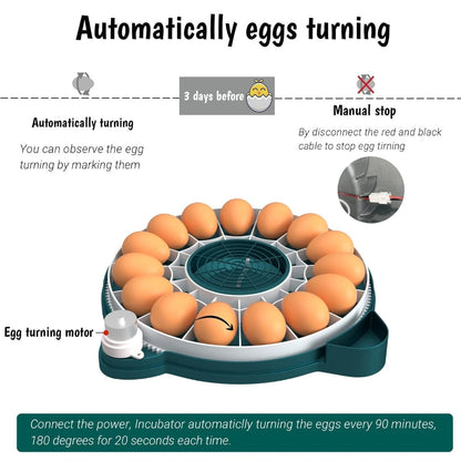 Digital Egg Incubator with Auto Humidity Setter