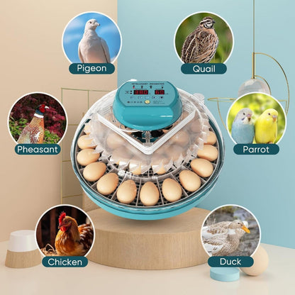 Digital Egg Incubator with Auto Humidity Setter