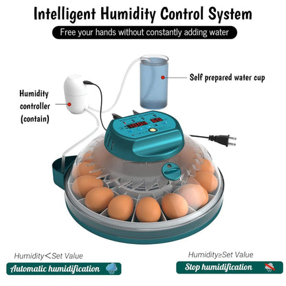 Digital Egg Incubator with Auto Humidity Setter