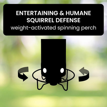 Wild Bird Seed Feeder with Squirrel Guard