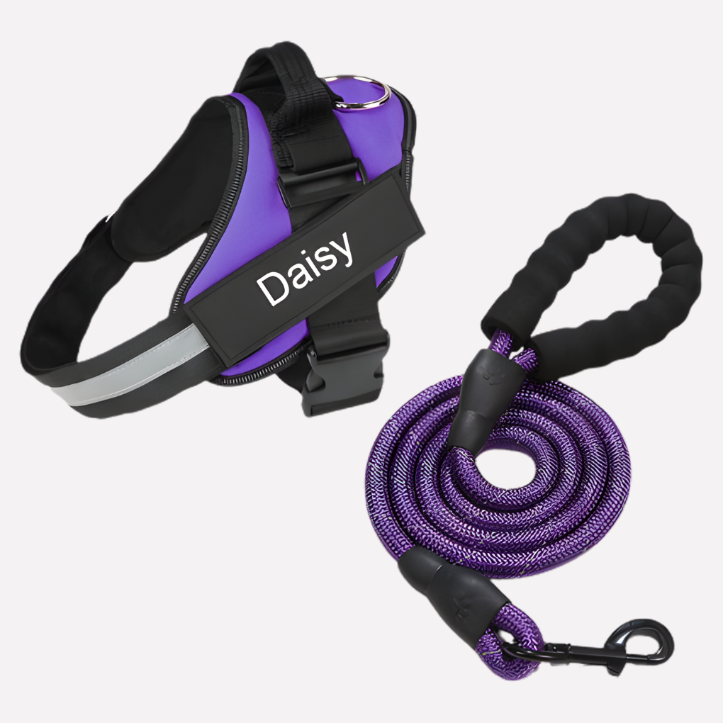 Customizable No Pull Pet Harness