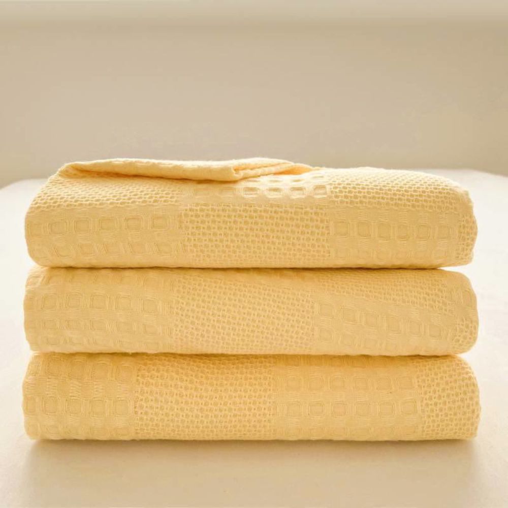 Cozy Thermal Plush Throw Blanket