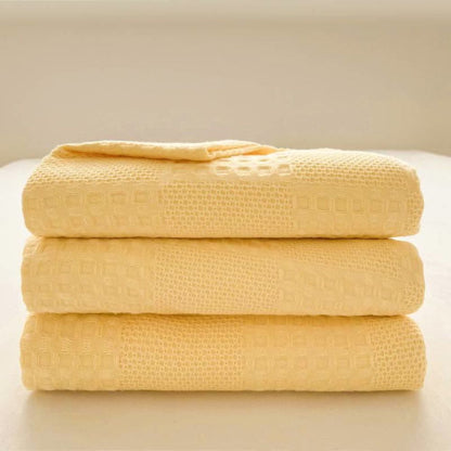 Cozy Thermal Plush Throw Blanket