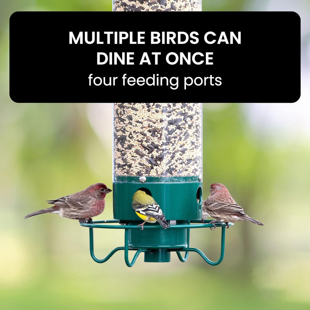Wild Bird Seed Feeder with Squirrel Guard