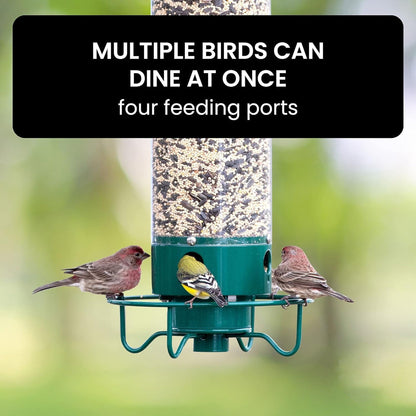 Wild Bird Seed Feeder with Squirrel Guard