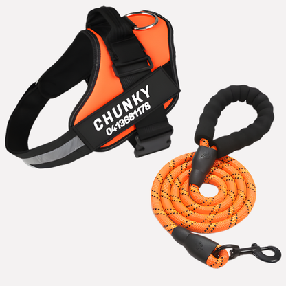 Customizable No Pull Pet Harness