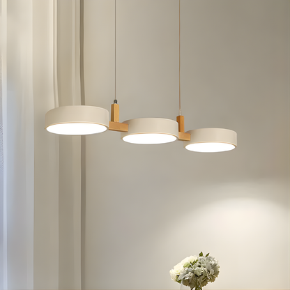 Contemporary Silver Overhead Lamp