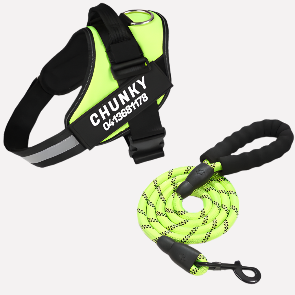 Customizable No Pull Pet Harness