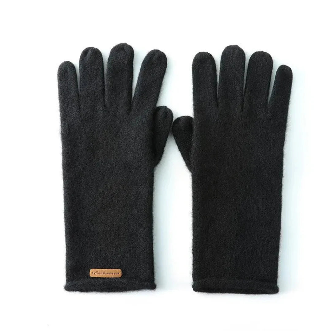 Warm Luxury Touch Gloves