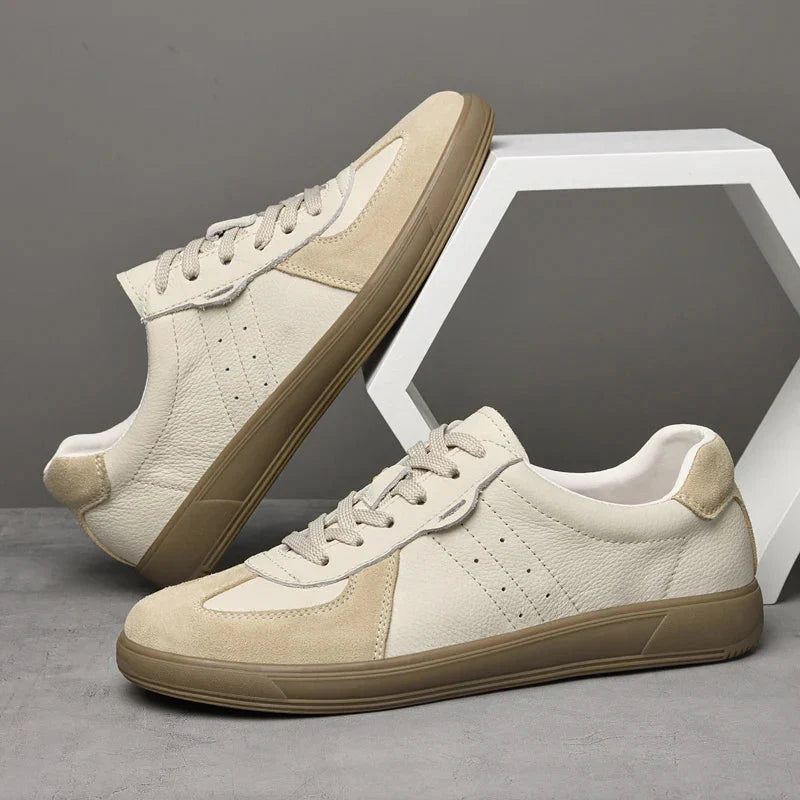 Casual Men's Lace-Up Low Top Shoes