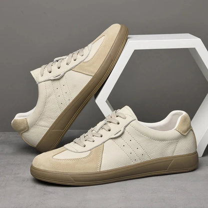 Casual Men's Lace-Up Low Top Shoes