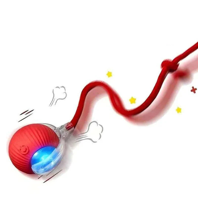 Fun Interactive Cat Toy Mouse - Luxicro