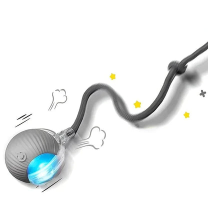 Fun Interactive Cat Toy Mouse
