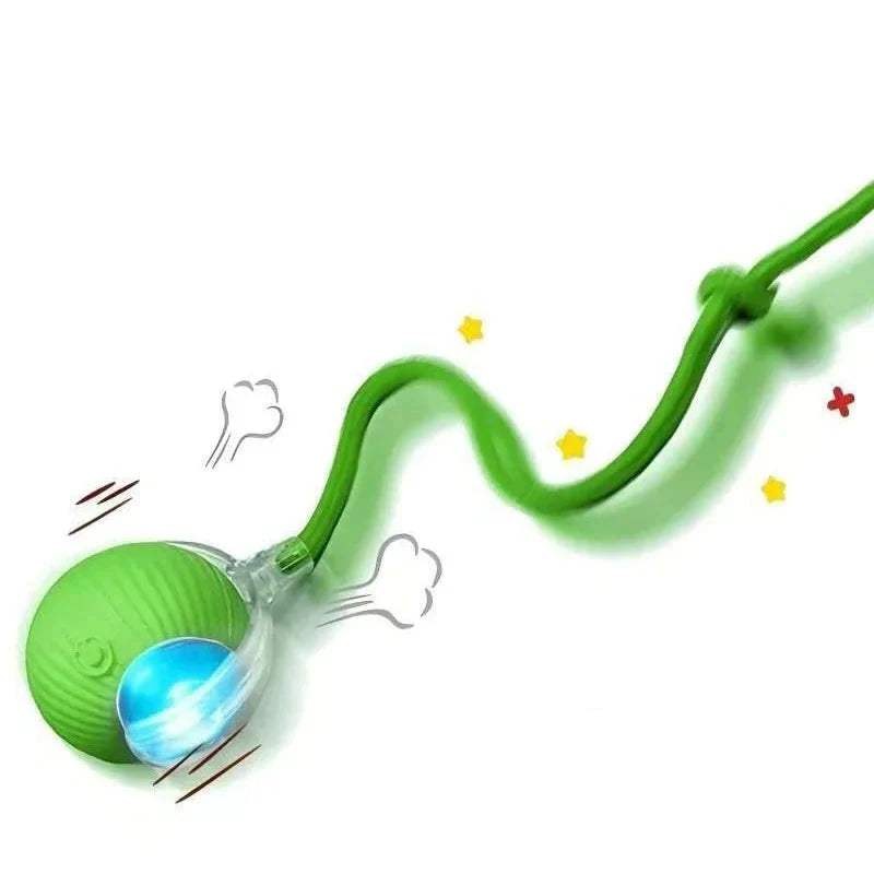 Fun Interactive Cat Toy Mouse