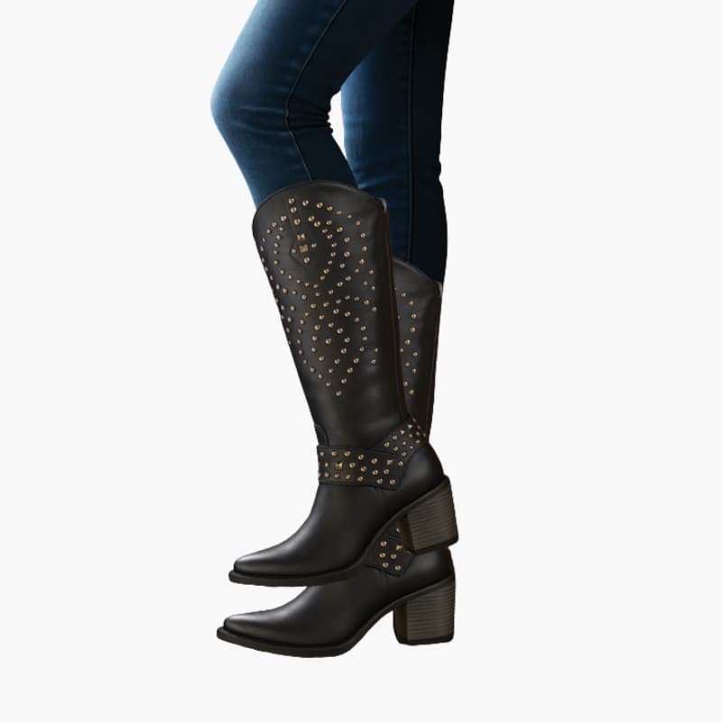 Tall Pointed Toe Women's Boots with Side Zip