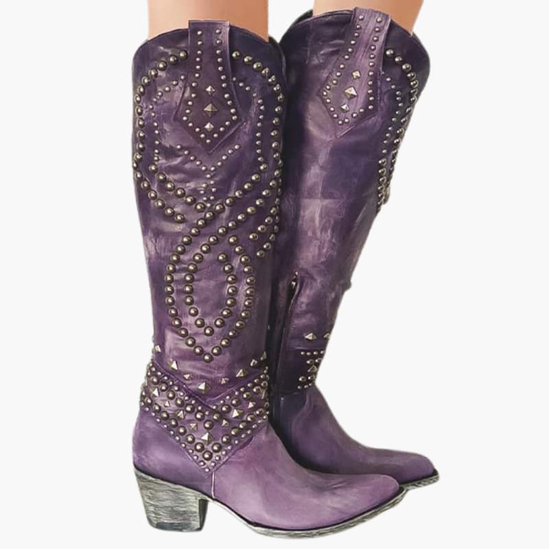 Tall Pointed Toe Women's Boots with Side Zip