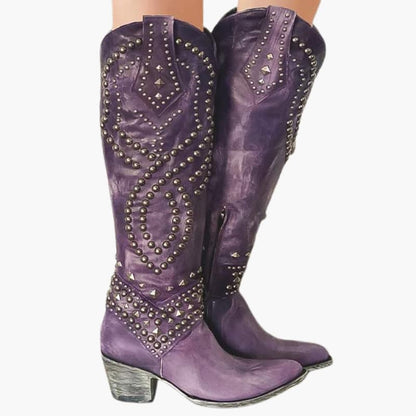 Tall Pointed Toe Women's Boots with Side Zip