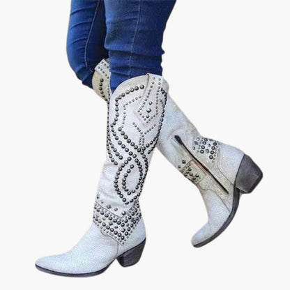 Tall Pointed Toe Women's Boots with Side Zip