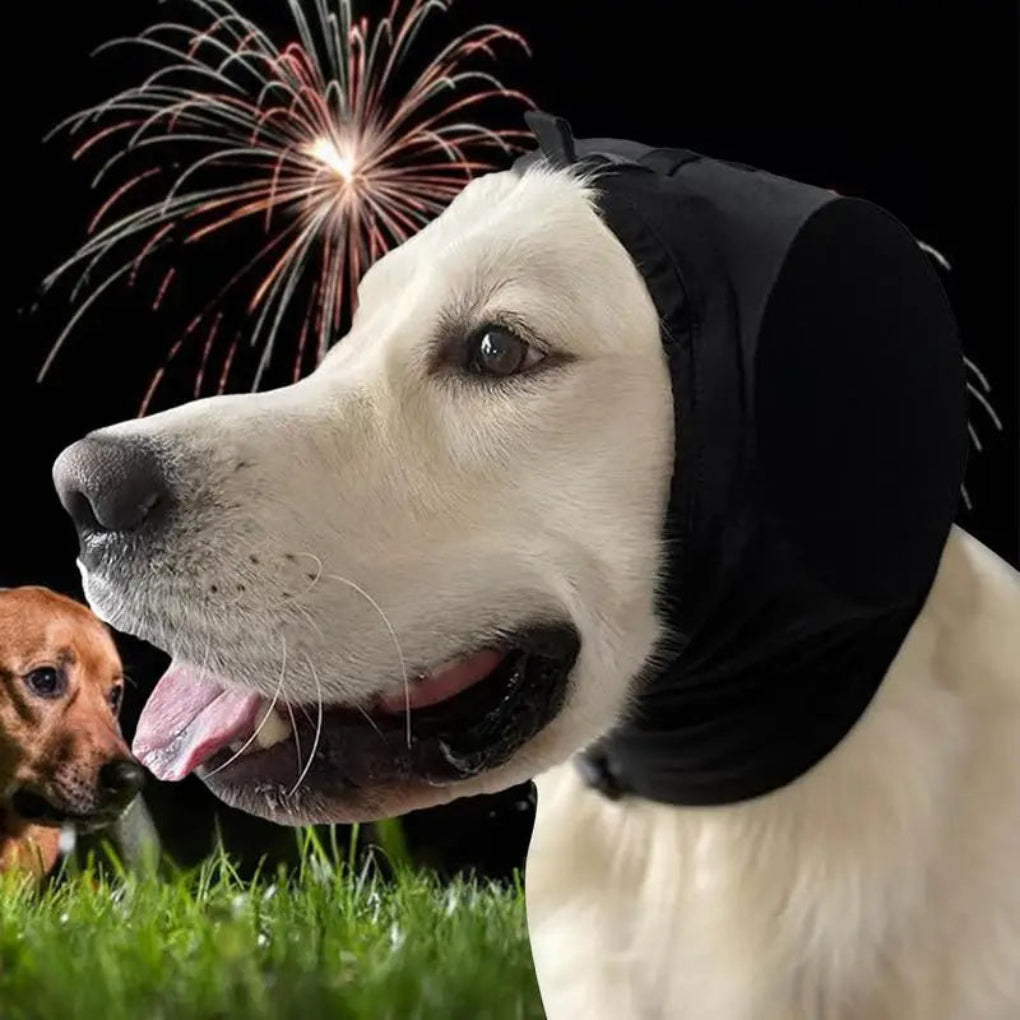 Comfortable Dog Hearing Protection Earmuffs - Vossary