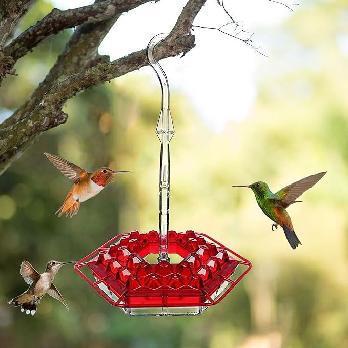 Easy Fill Ant Resistant Outdoor Bird Feeder - Luxicro